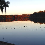 Lake Hall